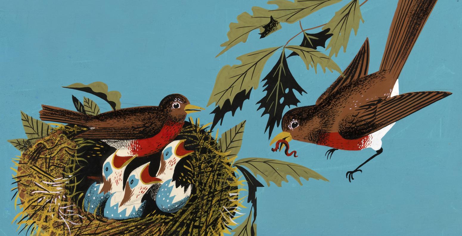 Illustration of bird feeding babies. 