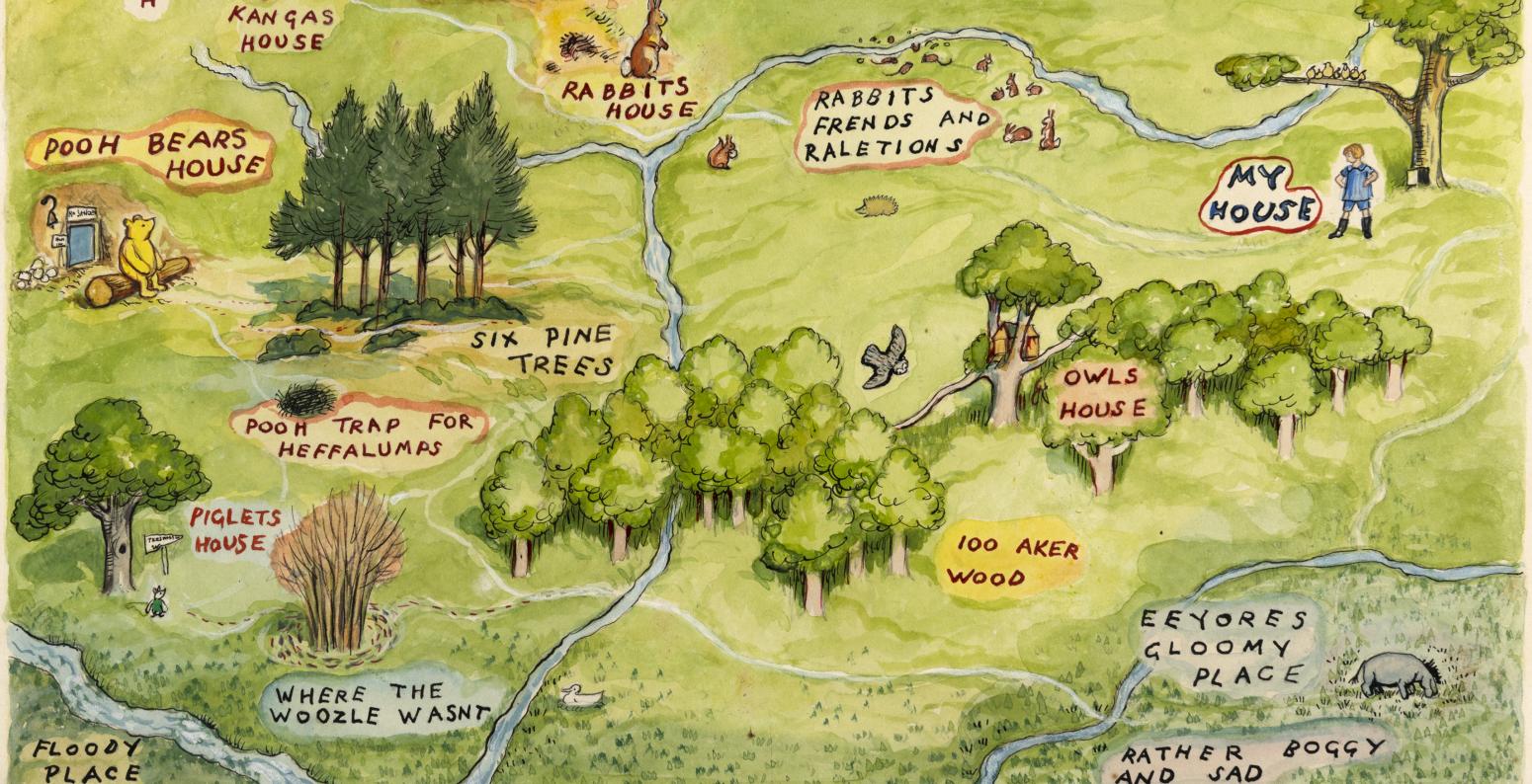 Illustration of map of forest.