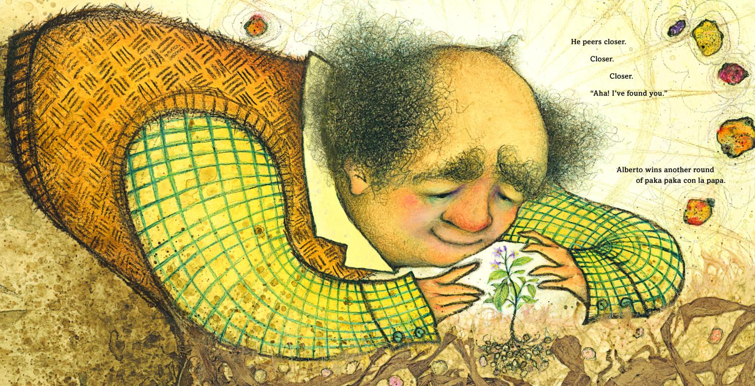 Alberto Sala looks at a potato growing in the ground.