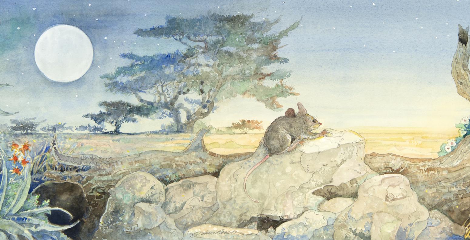 Image of mouse in nighttime desert landscape