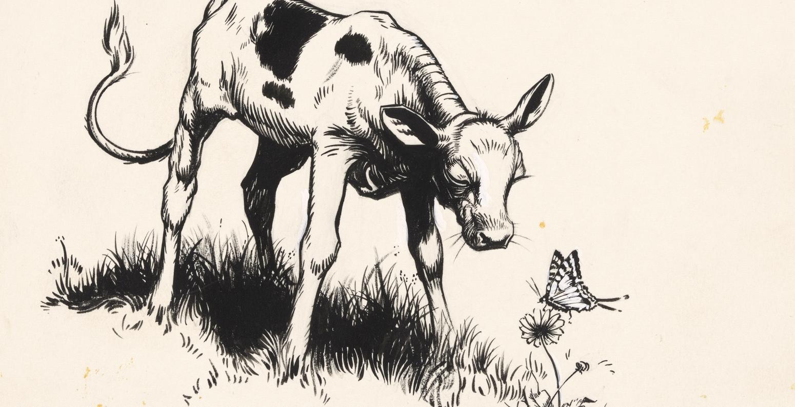 Illustration of bull sniffing flower 