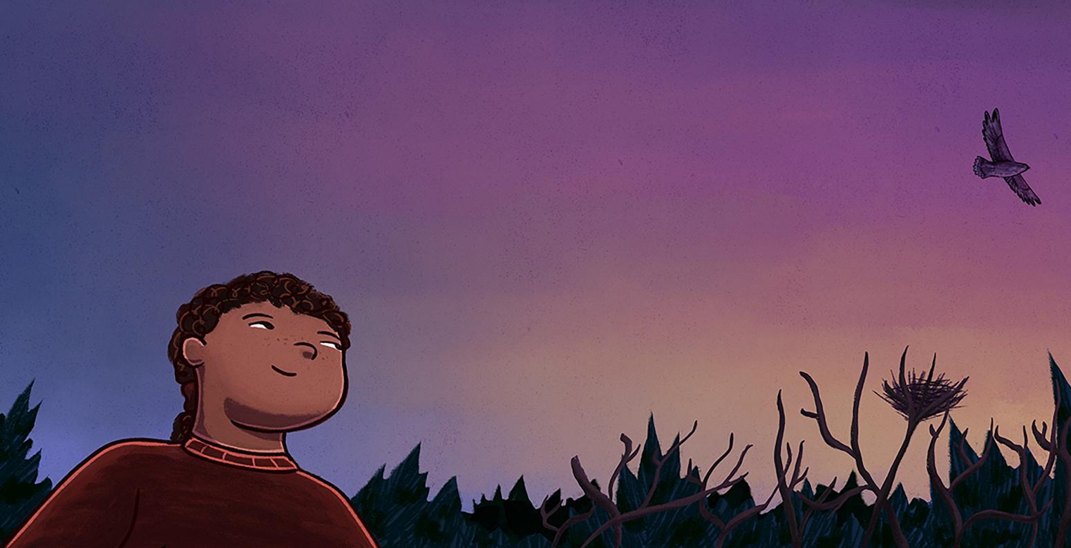 Illustration of boy looking at hawk in sky. 