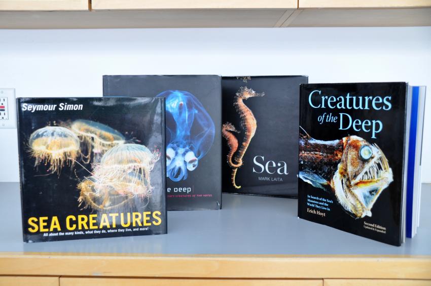 Photography books featuring ocean life.