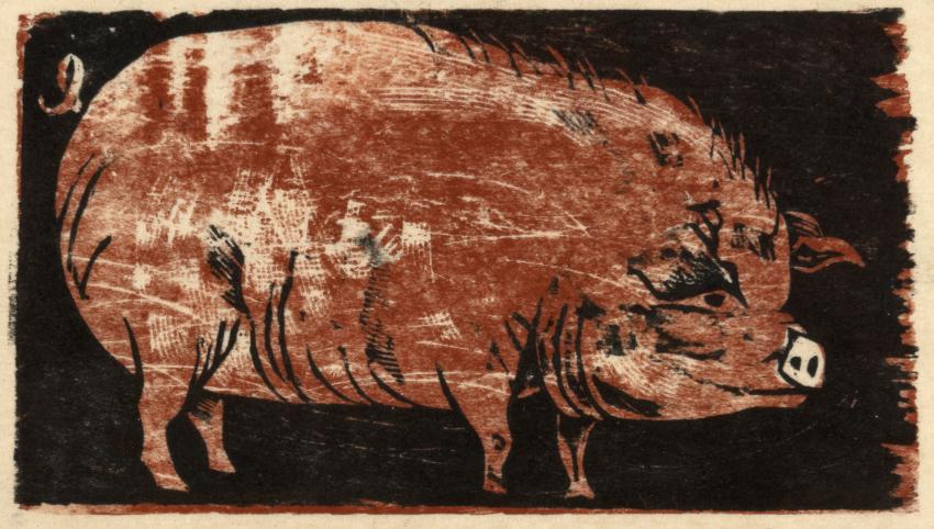 Woodcut of pig. 