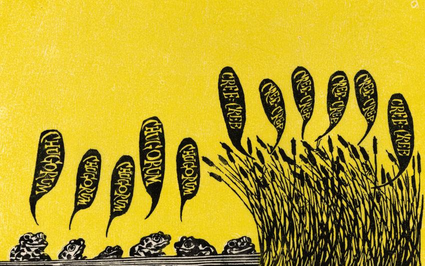Illustration of frogs making sounds in water.