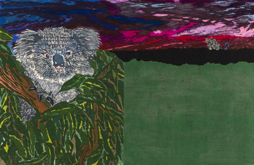Illustration of koala bear.