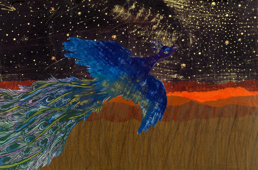 Illustration of peacock flying.