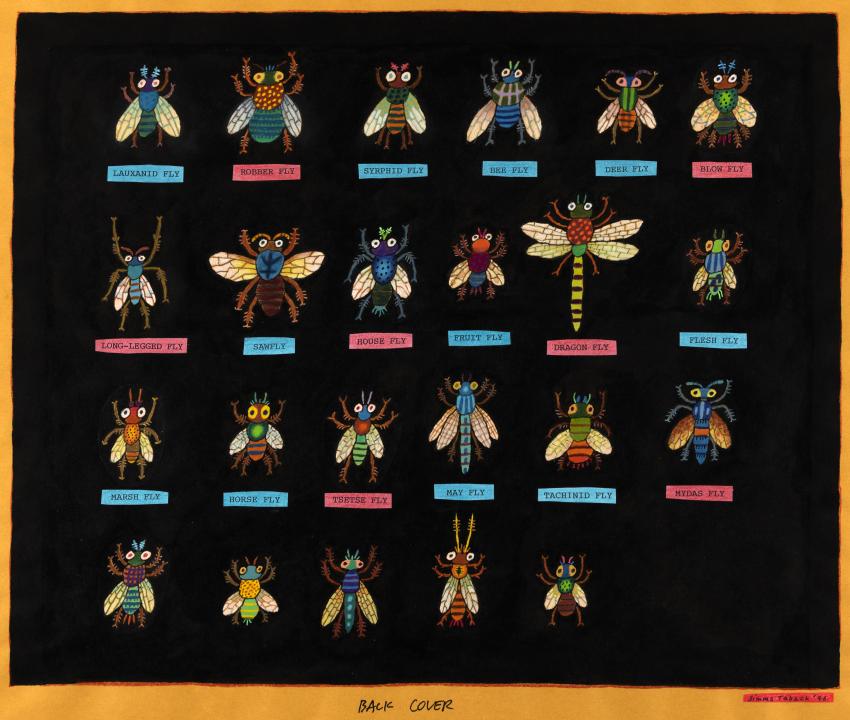 Illustration of different types of flies. 