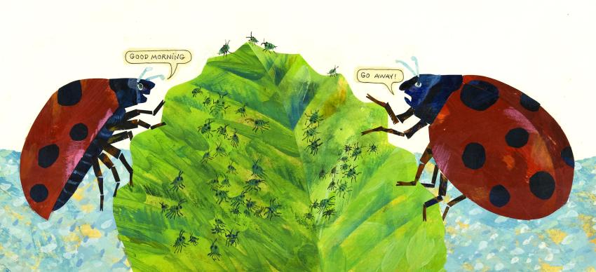Illustration of two ladybugs talking.