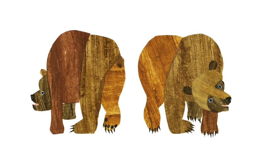 Illustration of brown bear from front and behind. 