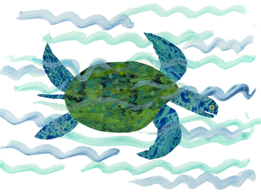 Illustration of tortoise swimming.