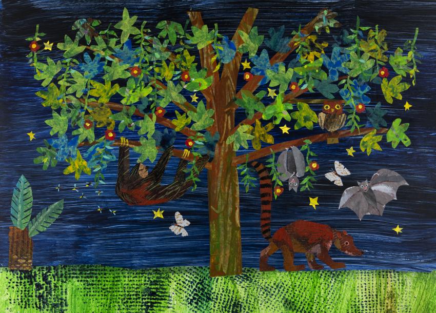 An alternate image for Eric Carle's book "Slowly, Slowly, Slowly Said the Sloth" with a nighttime scene with bats, moths, and stars in the sky.