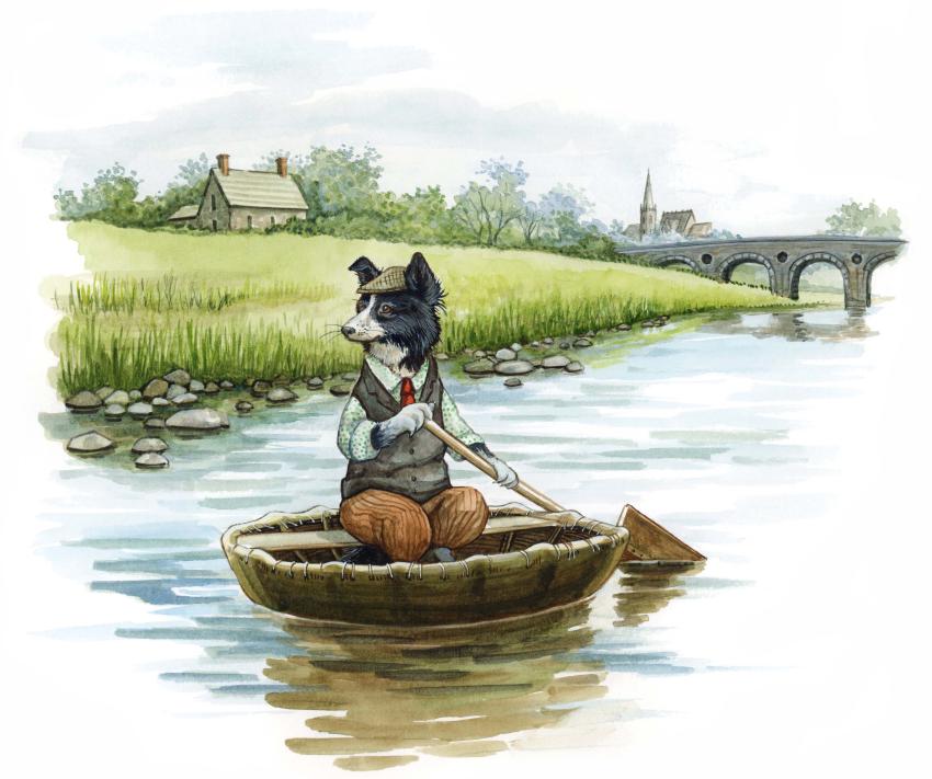 A Border Collie pup in clothes paddles along a river in a coracle boat.