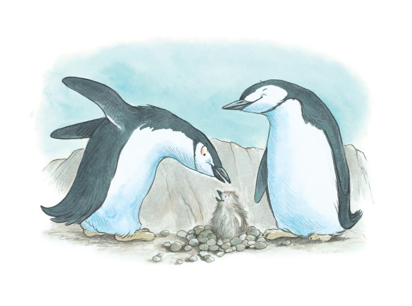 Two adult penguins watch over a baby penguin sitting in a nest.