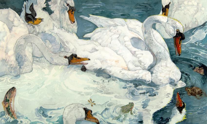 Illustration of swans