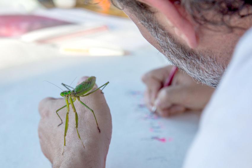 Artist holding a praying mantis.