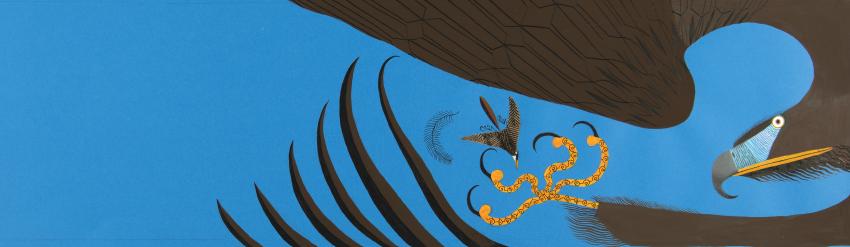 Illustration of bird of prey.