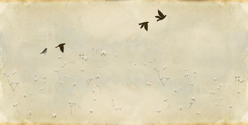 Illustration of black birds flying.