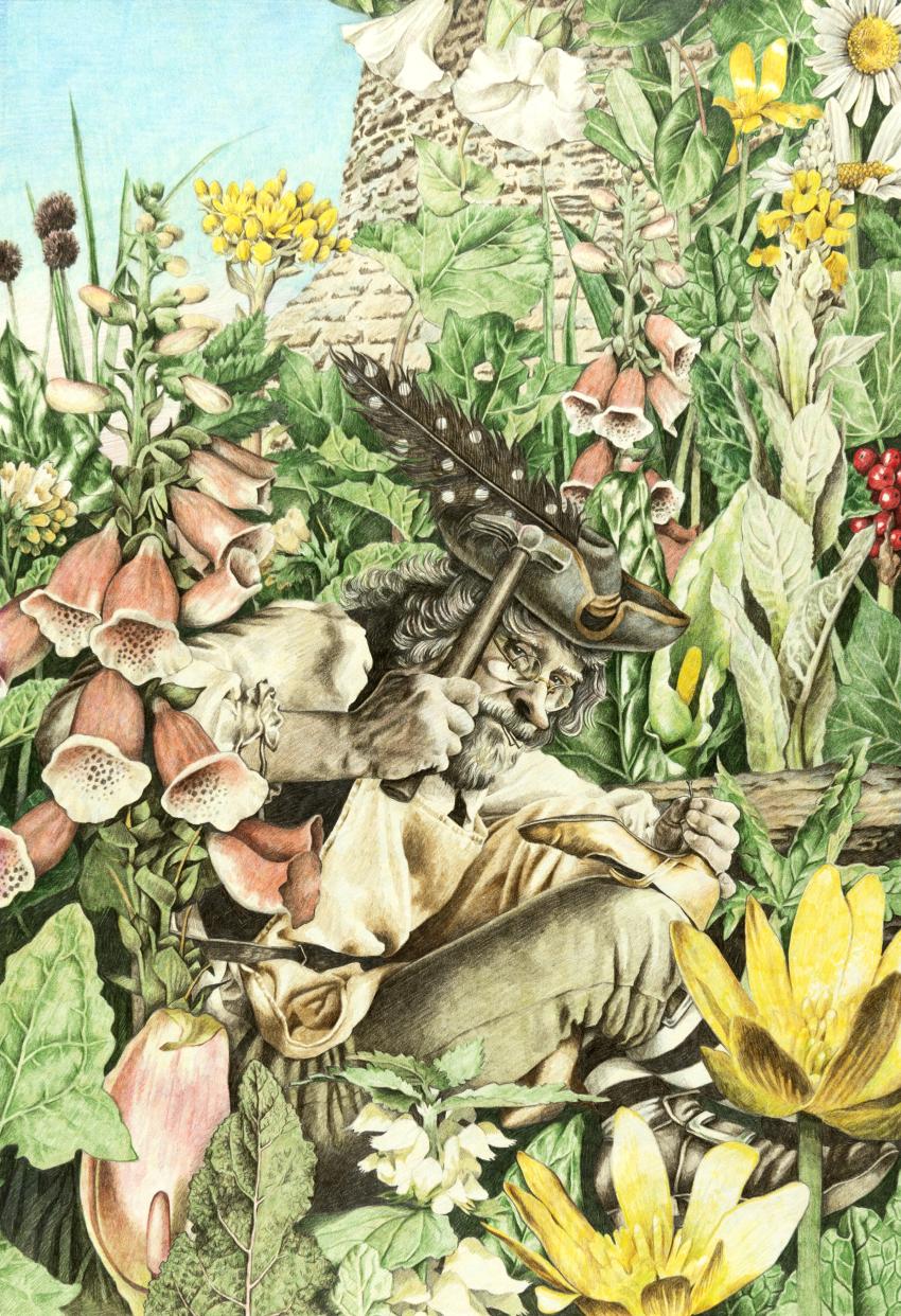 Illustration of leprechaun in flowery meadow