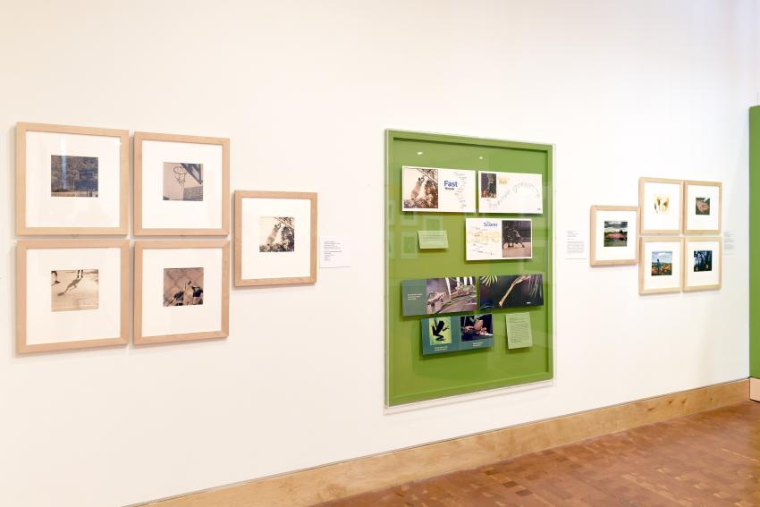 Photograph of installation