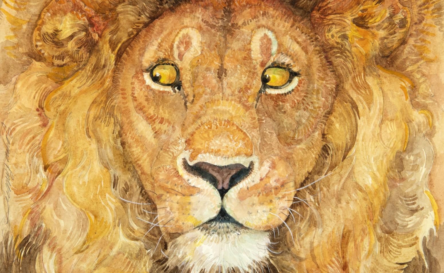 Illustration of Lion's face