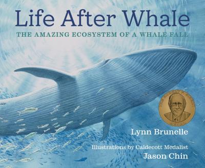 illustration of a whale under water