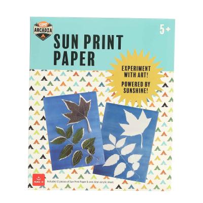 image demonstrating how objects on the special paper make shapes when exposed to sunlight