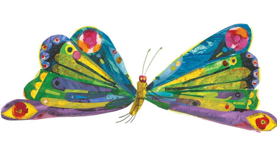 An illustration of a butterfly