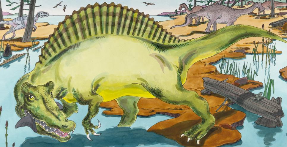 Illustration of spinosaurus walking through water. 