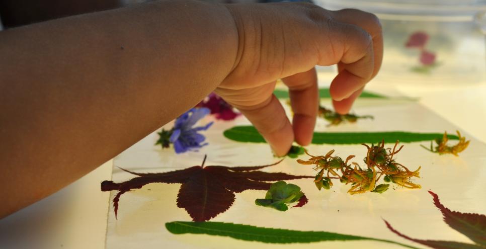 A small hand gently placing flowers onto a light table.