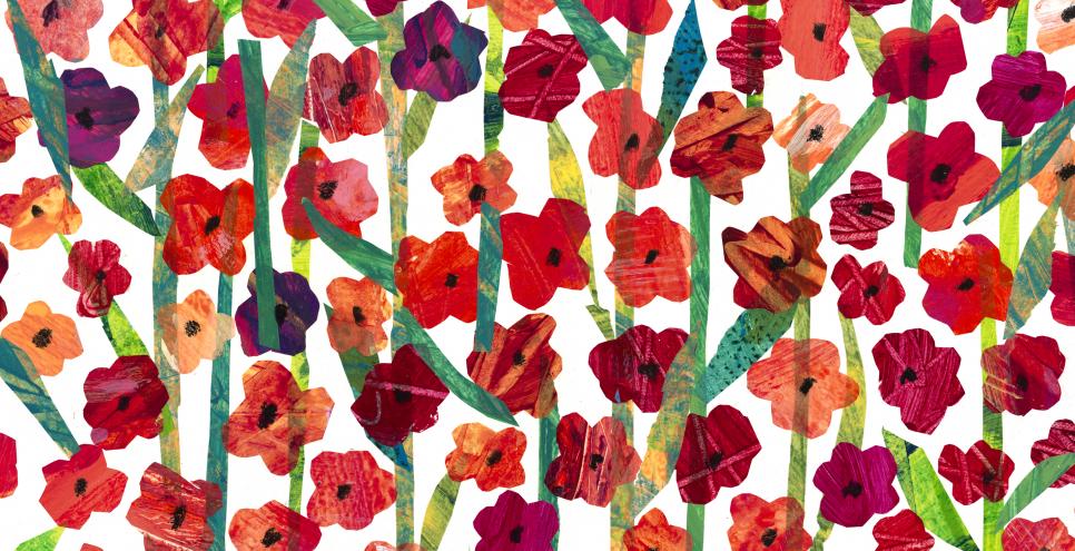 Illustration of poppy flowers. 