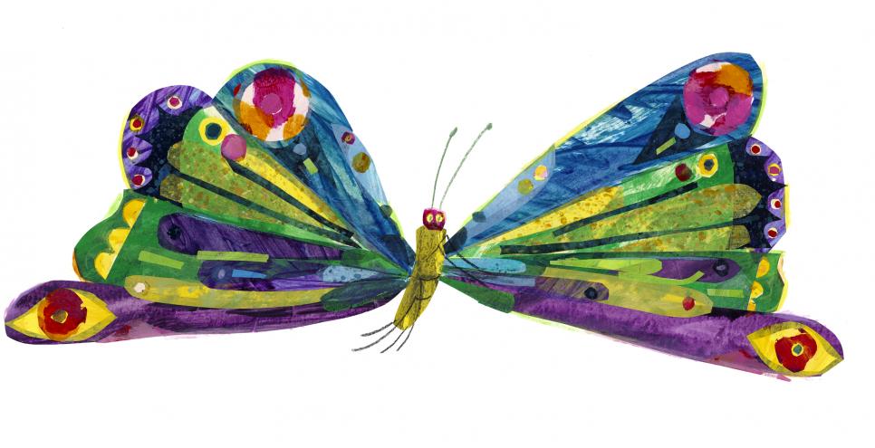 Illustration of brightly colored butterfly 