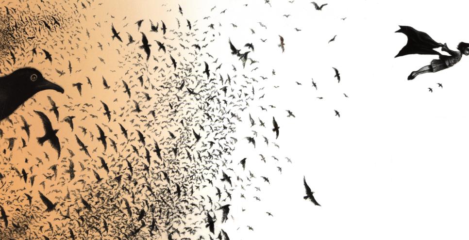 Illustration of swarm of birds and girl flying with cape. 