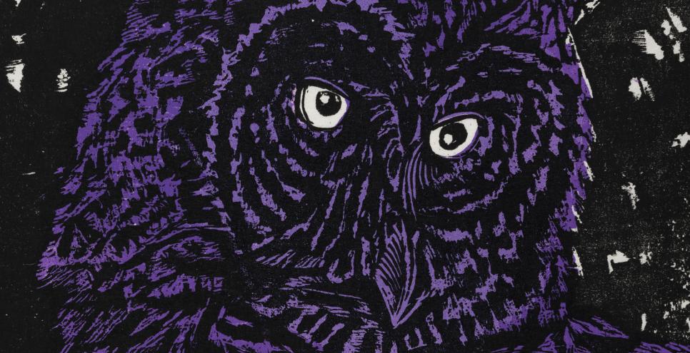 Illustration of purple owl. 