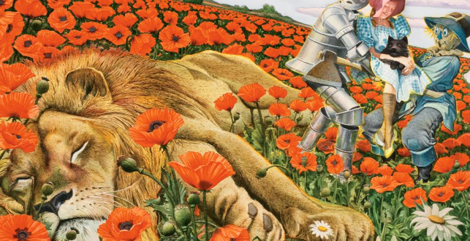 Illustration of lion lying in field of poppies. 