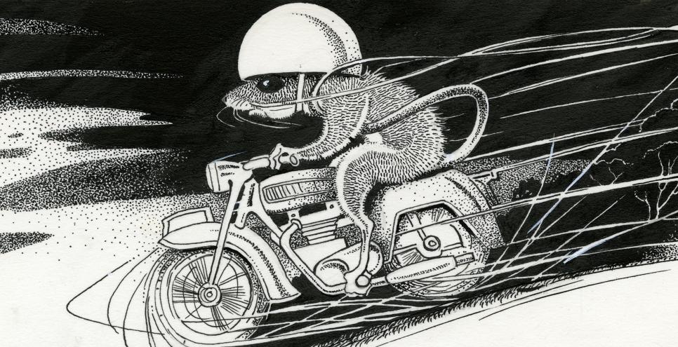 Illustration of mouse riding motorcycle down hill. 