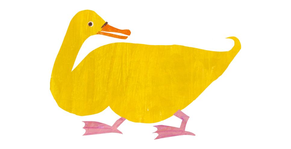 Illustration of yellow duck. 