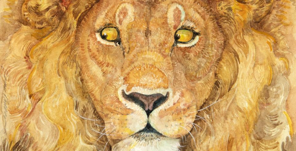 Illustration of Lion's face