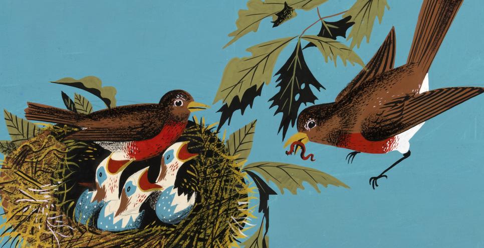 Illustration of bird feeding babies. 