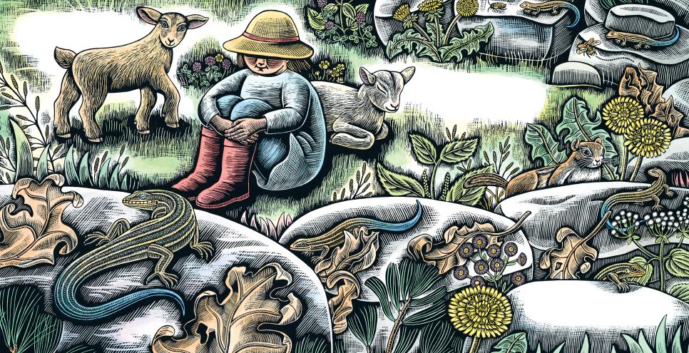 illustration of a child outside with animals