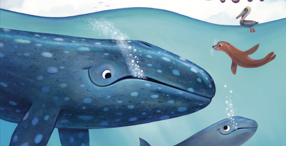 Baby Ballena