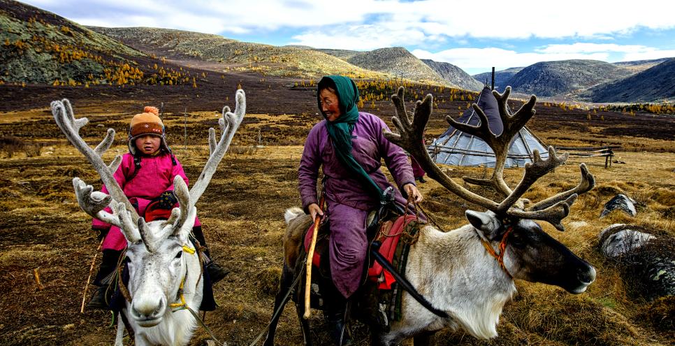 Photograph of reindeer herders. 