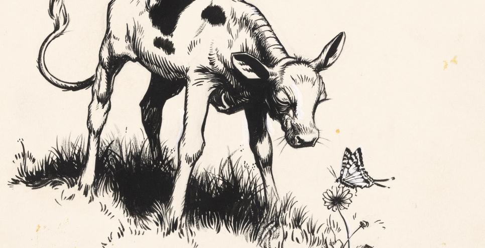 Illustration of bull sniffing flower 