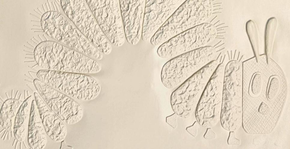 A braille illustration and text from The Very Hungry Caterpillar.