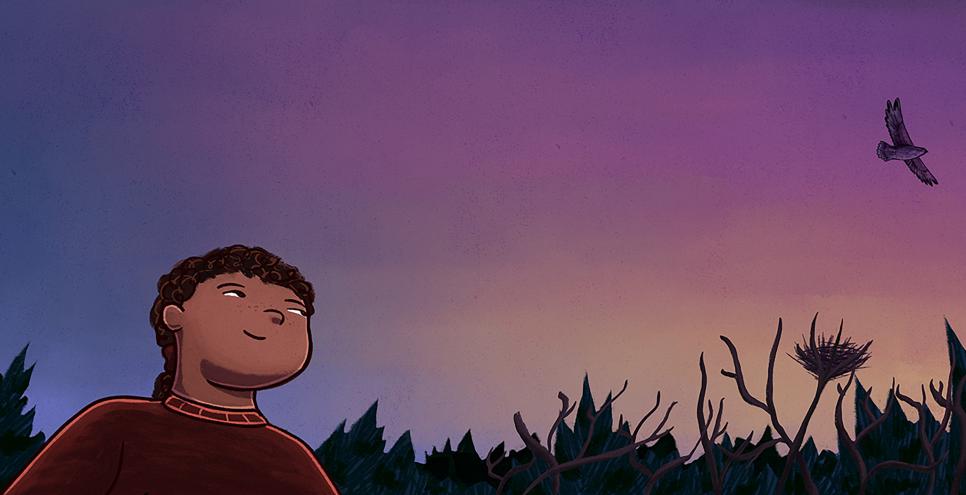 Illustration of boy looking at hawk in sky. 