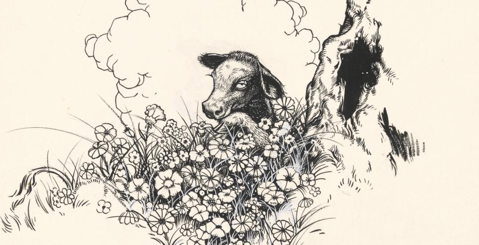 Ferdinand the bull sits under cork tree watching bulls fight in the distance.