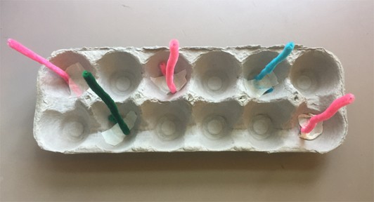 Overhead short of an egg carton with five short pipe cleaners taped to the bottom where the eggs would have sat.